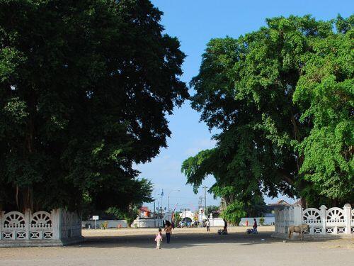 WISATA BUDAYA ALUN-ALUN KIDUL YOGYAKARTA