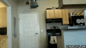 Para Pecinta GIF FAIL &#91;DIMARI&#93;