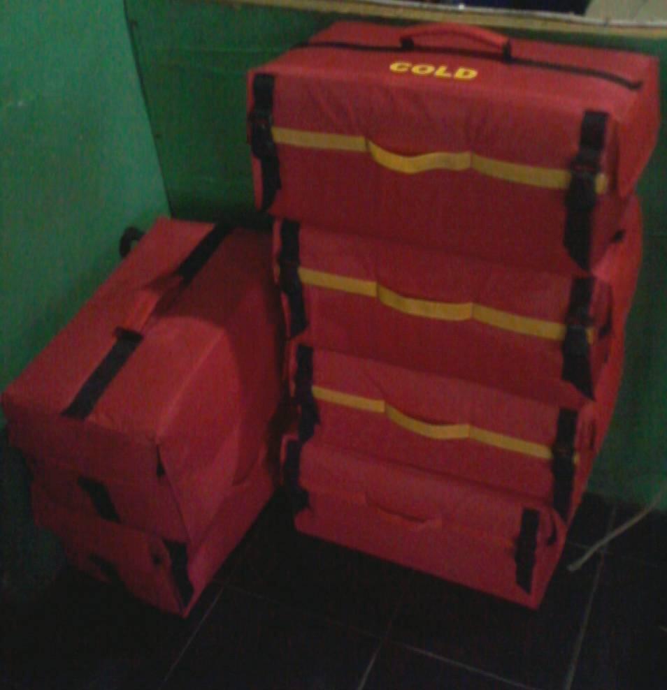 Tas Delivery