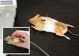 Mouse Terunik dan Terkeren di Dunia (With Pictures)