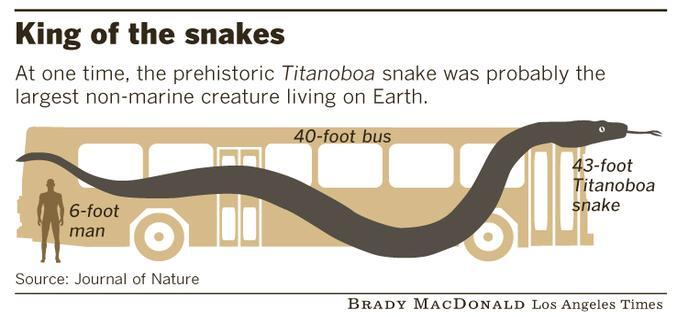 TITANOBOA ! The Largest SNAKE in the WORLD! 