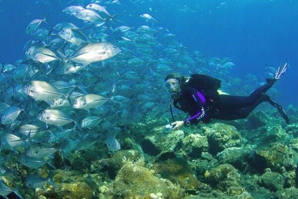 Tempat Wisata Tulamben, Bali. Surganya Diving