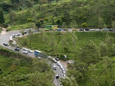 Jalan Paling Indah di Dunia