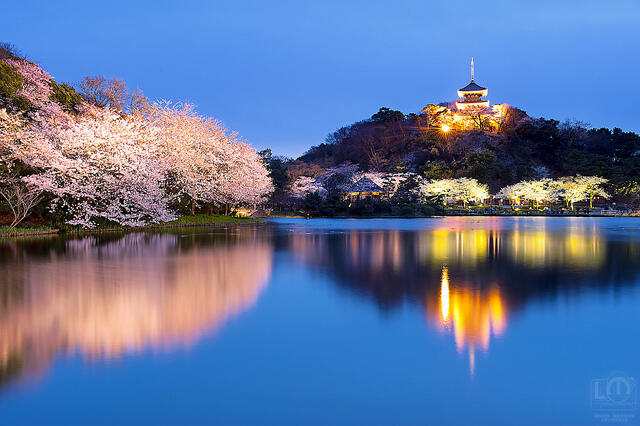 Taman - taman yang paling indah di Jepang