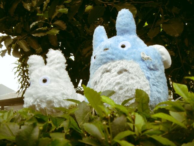 Totoro & Friends (Rare Items)