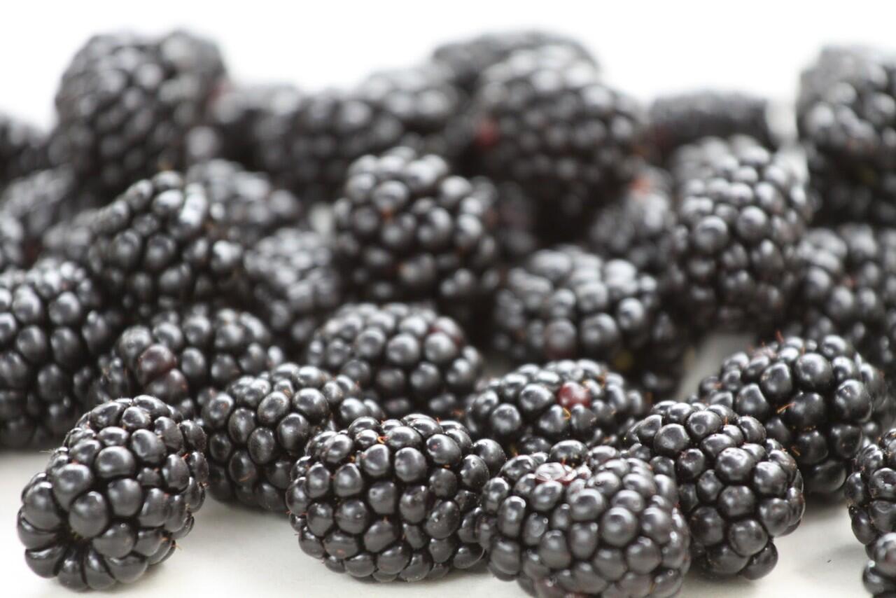 10 Buah dari Keluarga Berry. Kandungan juga Khasiatnya nih gan! Masuuukk!