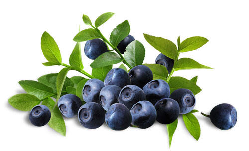 10 Buah dari Keluarga Berry. Kandungan juga Khasiatnya nih gan! Masuuukk!