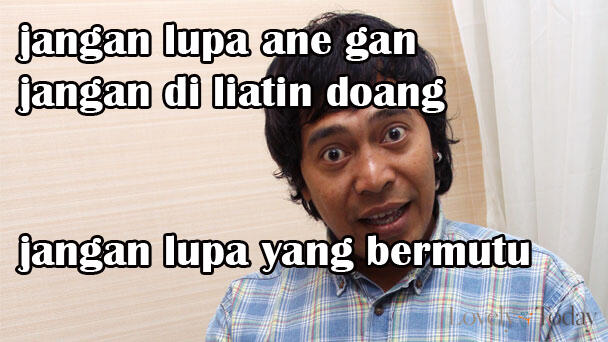  kisah kucing yang dapat mendeteksi kematian