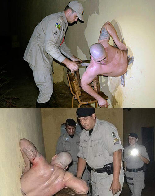 Napi Gagal Kabur Akibat Perut Buncit