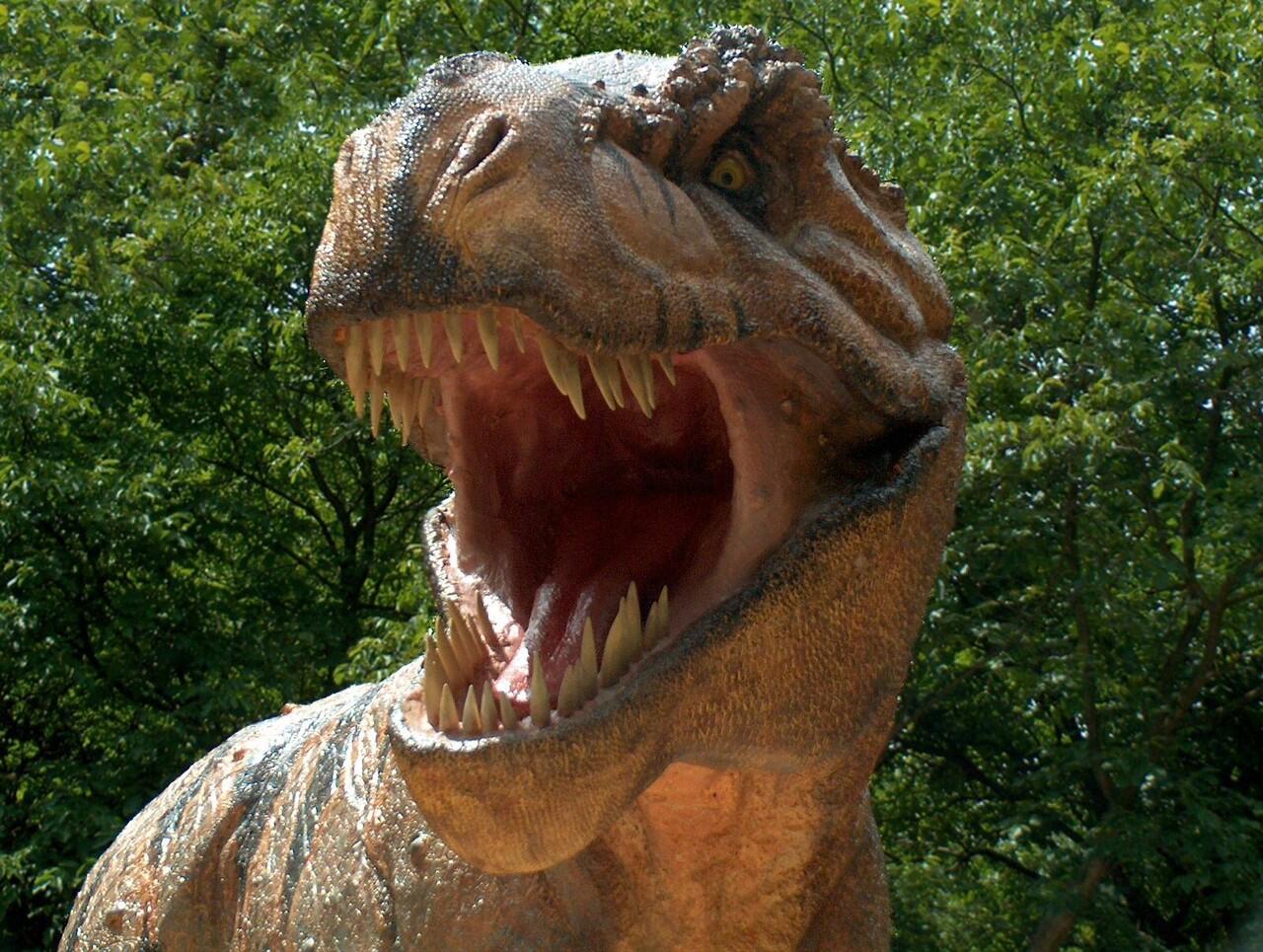 Fakta Unik Tentang T-Rex sang pemakan daging dari jaman bahula 