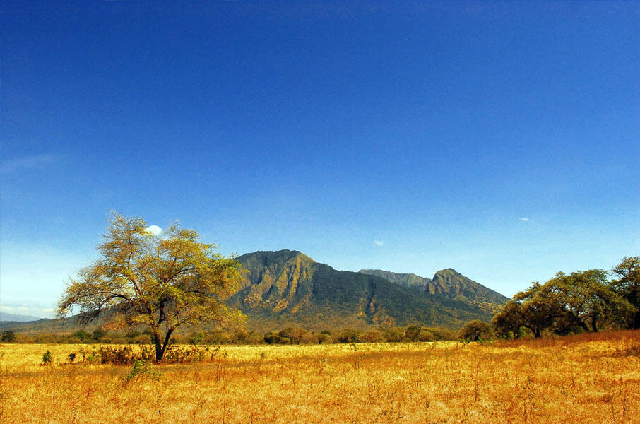 &#91;CoOl&#93; Petualangan Alam Liar Ala Afrika di Baluran