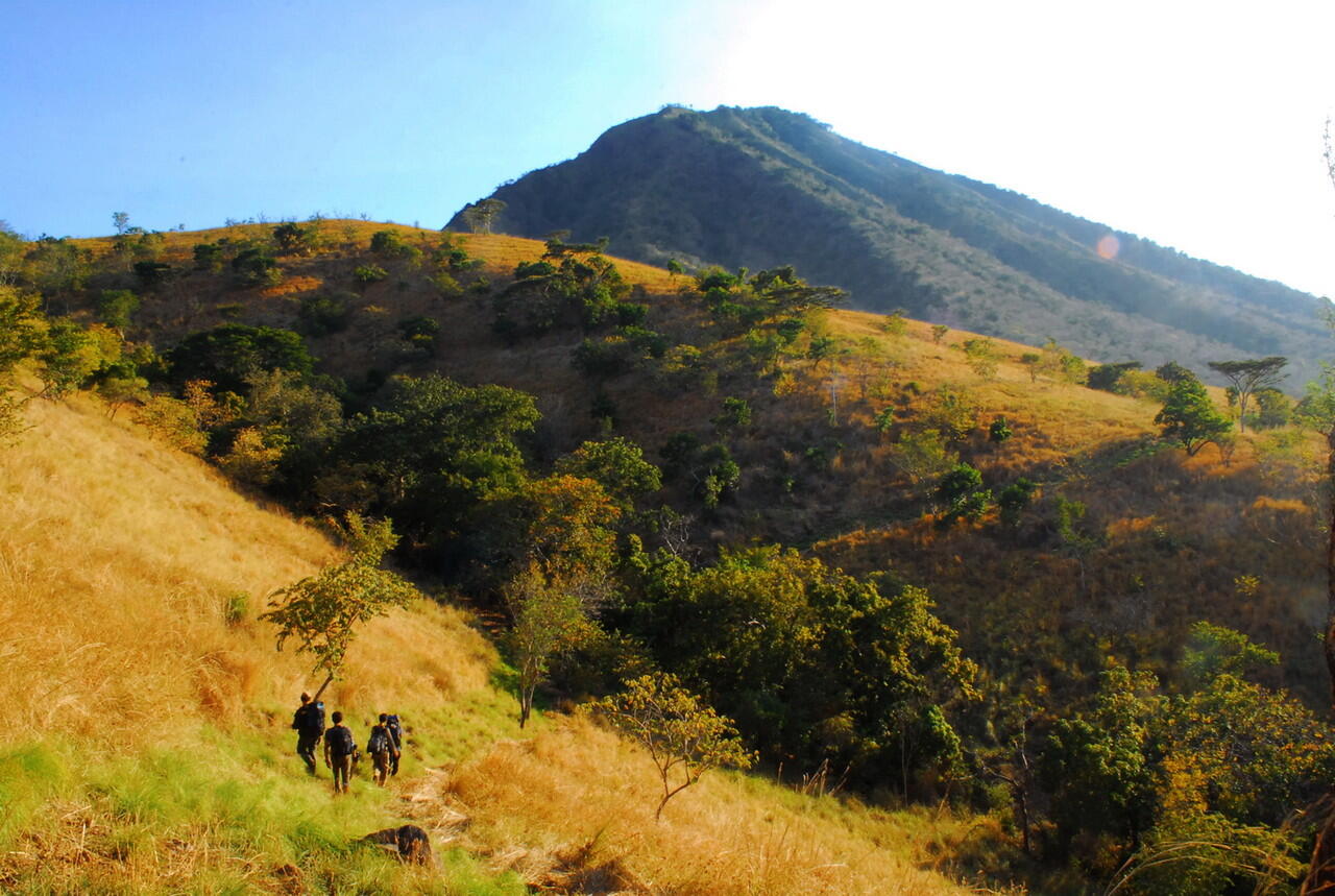 &#91;CoOl&#93; Petualangan Alam Liar Ala Afrika di Baluran