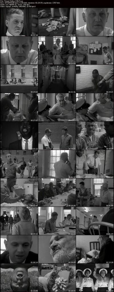 Film-Film Gore, Disturbing, Violence, Torture etc