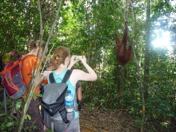 Liburan asyik di Bukit Lawang,Medan