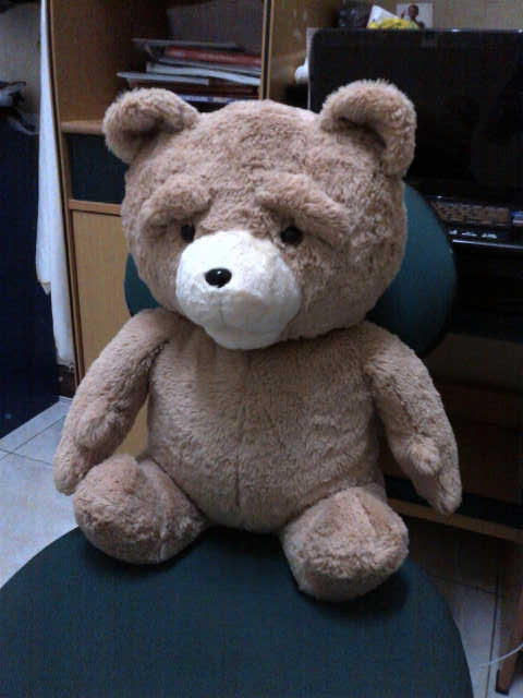 TED TED TED THUNDER BUDDY FOR SALE!SURABAYA