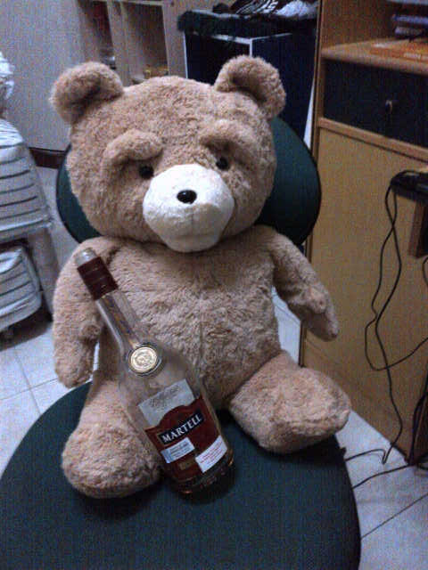 TED TED TED THUNDER BUDDY FOR SALE!SURABAYA