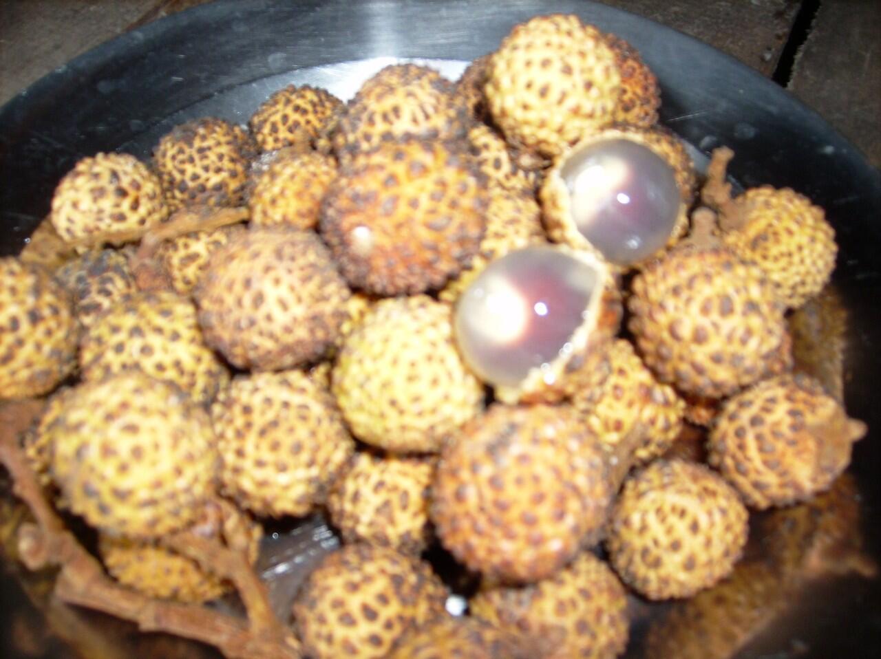 BUAH UNIK DARI KALIMANTAN