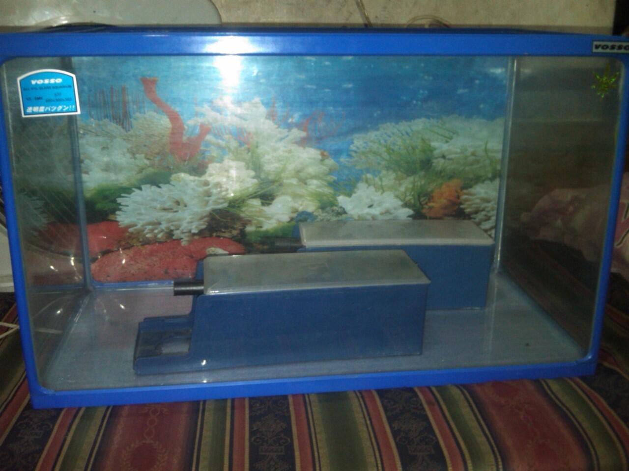 aquarium VOSSO 60cm dan GEX 45cm murah 2nd