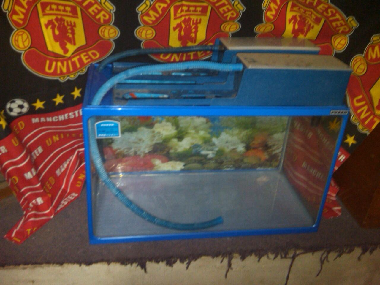 aquarium VOSSO 60cm dan GEX 45cm murah 2nd