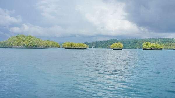 Begini Caranya Liburan Hemat ke Raja Ampat