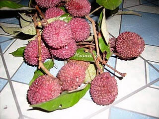 BUAH - BUAHAN HUTAN KALTIM YANG ENAK (buah impor? lewaaaat...!!)