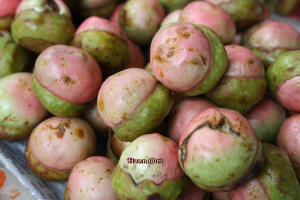 BUAH - BUAHAN HUTAN KALTIM YANG ENAK (buah impor? lewaaaat...!!)