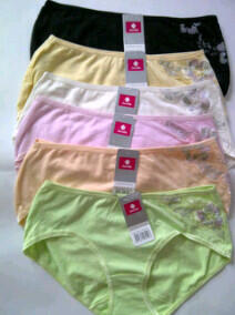 SALE Branded Underwear, sorella, lazensa, pierre cardin, youngheart