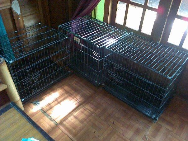 Terjual Jual Kandang Anjing Bekas Tapi Baru 60 Cm X 45cm X 50 Cm