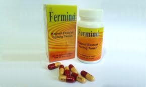 JUAL FERMINO Capsule Ekstrak Cacing Tanah isi 30