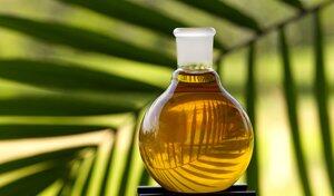 Sharing Bekerja di Industri Perkebunan Kelapa Sawit (Palm Oil) Swasta,BUMN masuk!!