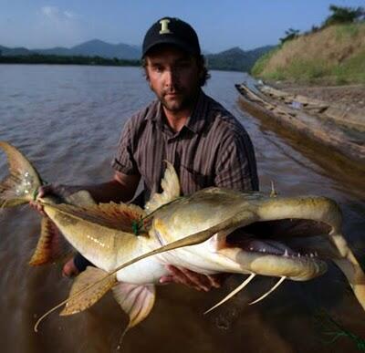 11 Makhluk Sungai yang Disegani Manusia