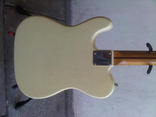 squier telecaster korea