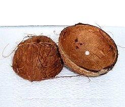 tiga bahan fital waria ...yg semuanya dari phon kelapa