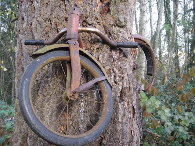 Sepeda Kuno di MAKAN Pohon Setelah 58 Tahun Hilang