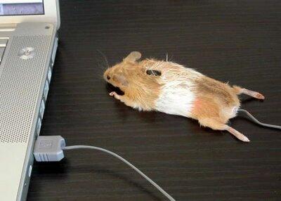 Trik Membuat Mouse Komputer Sendiri yang Unik