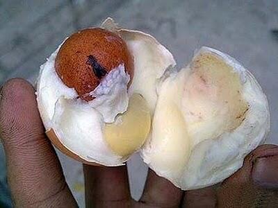 ANEH,TELUR KOK DALAM TELUR ???