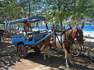 5 Transportasi Unik Indonesia