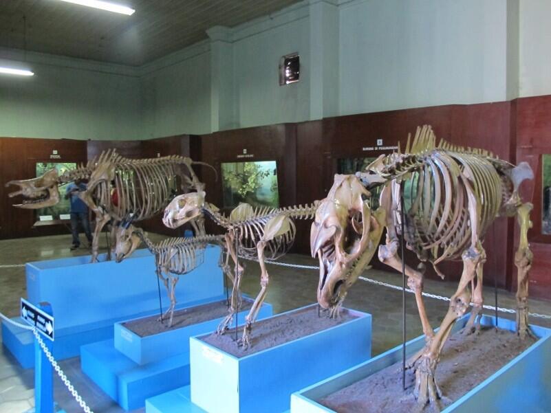 4 museum keren di bogor