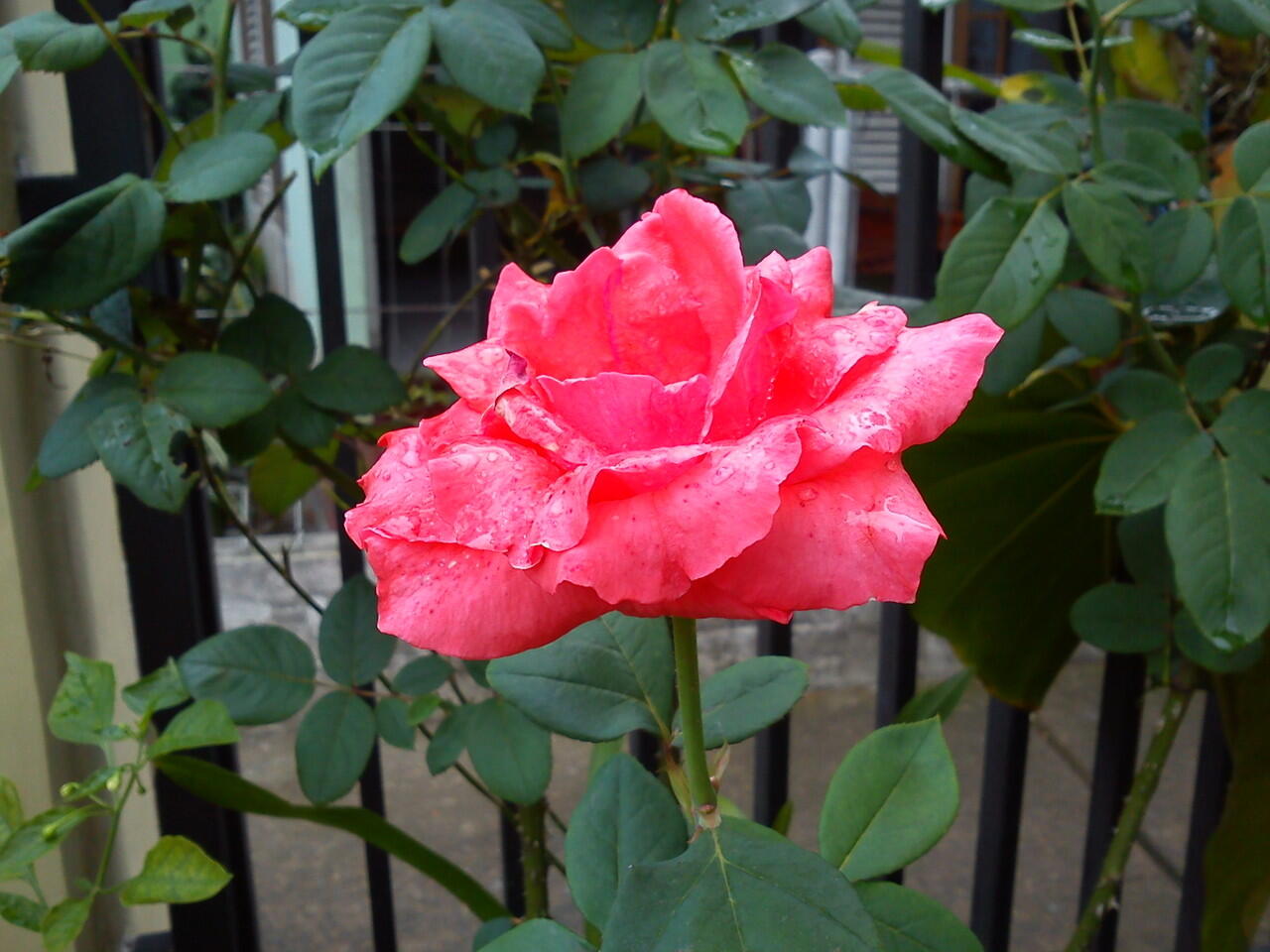 kenangan Xperia X10 mini pro ane (+pic)