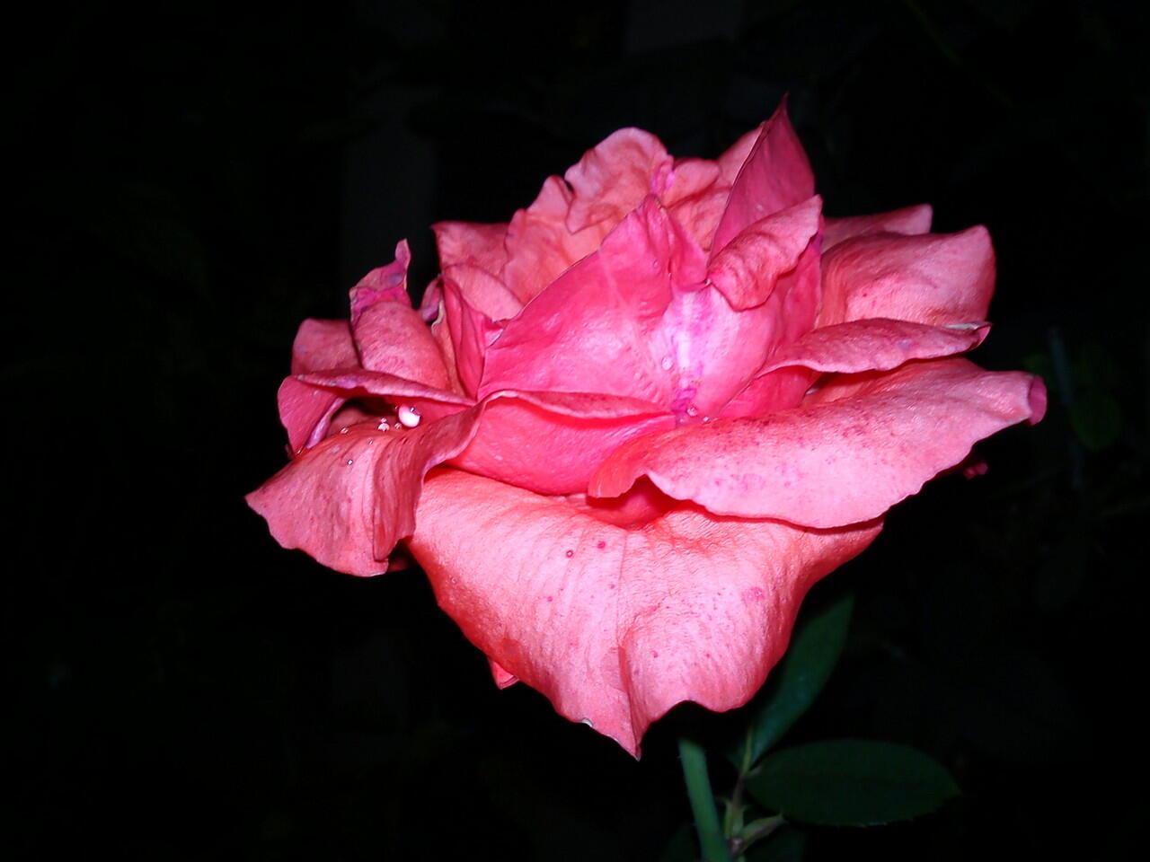 kenangan Xperia X10 mini pro ane (+pic)