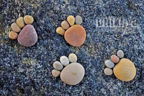 Batu - Batu Mungil yang Unik