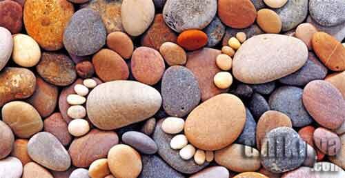 Batu - Batu Mungil yang Unik