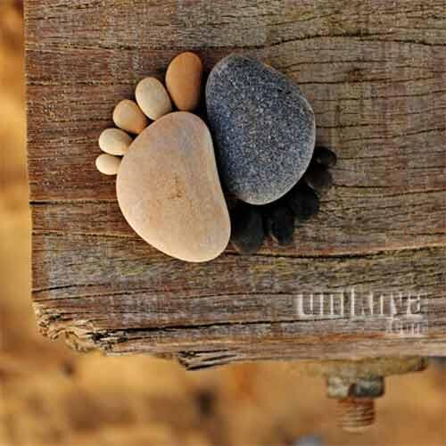 Batu - Batu Mungil yang Unik