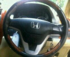 Universal carbon/wood panel for steer