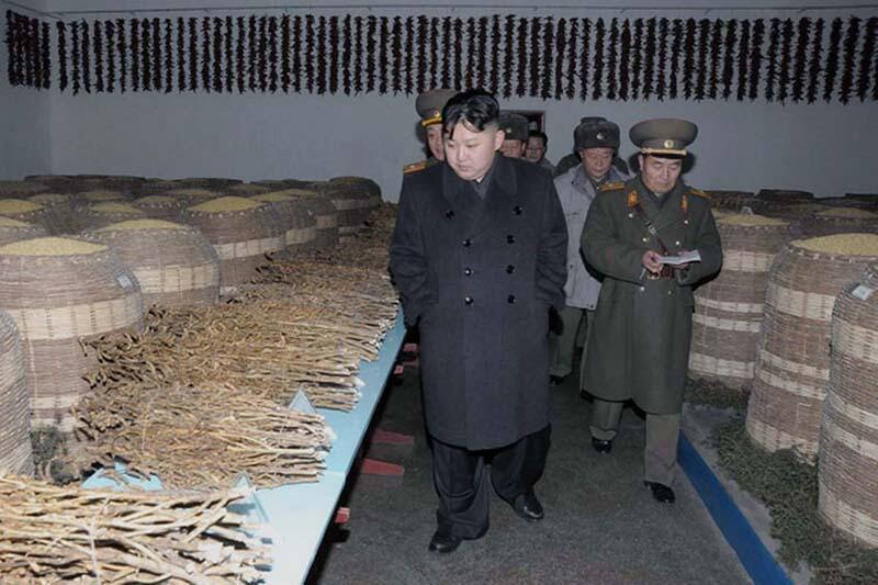 Inilah Photo2 Ulang Tahun Pemimpin Korea Utara, Kim Jong Un...