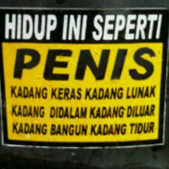 ibarat penis