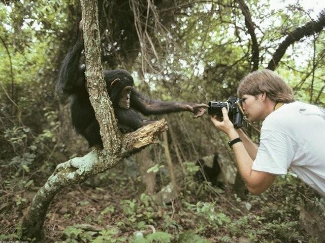 Photo – Photo yang Lucu dan Aneh dari Photographer