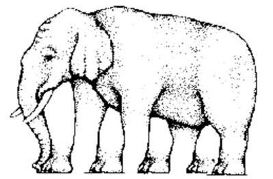 coba hitung kaki gajah ini kalo bisa IMBA dah :D