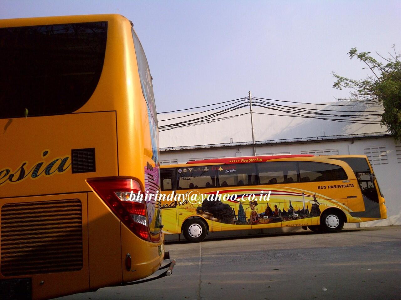 SEWA BIS PARIWISATA &quot;cipaganti&quot;