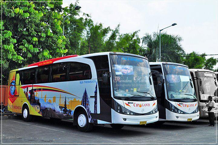 SEWA BIS PARIWISATA &quot;cipaganti&quot;